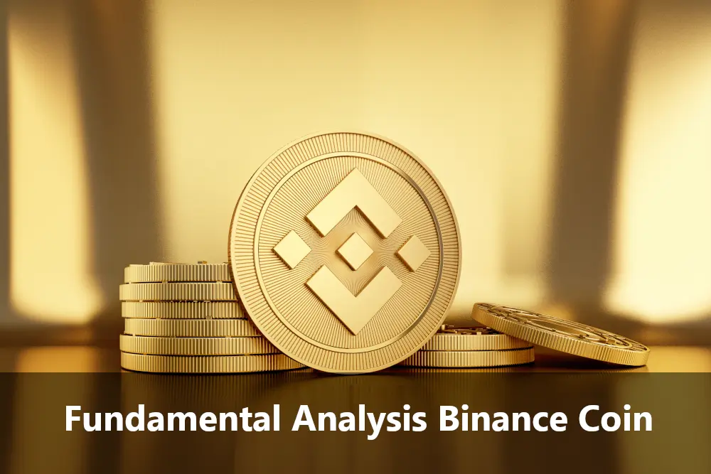 Fundamental Analysis Binance Coin