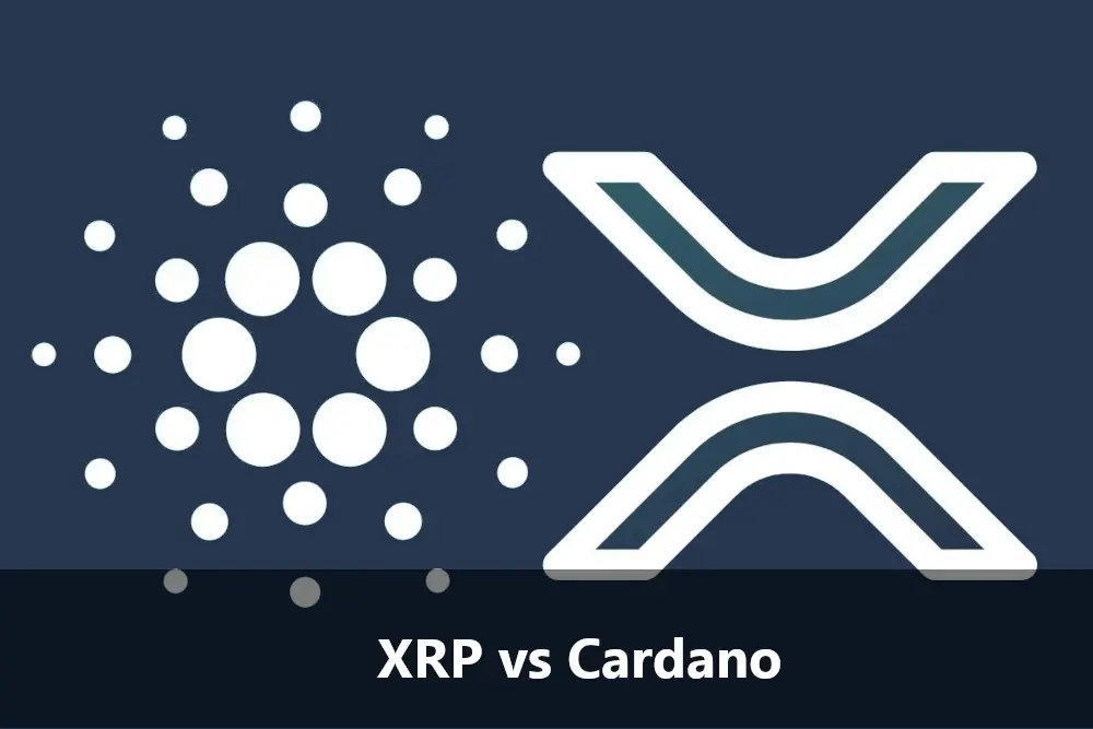 XRP and Cardano Which Is Better Investment