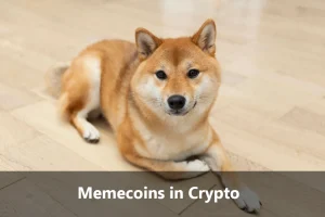 Memecoins in Crypto