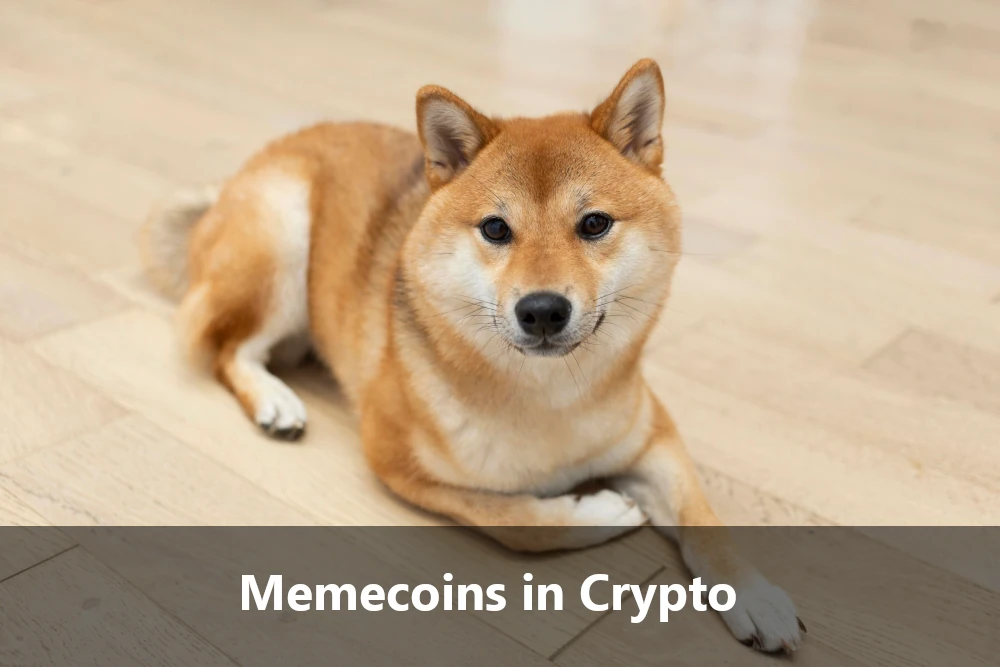 Memecoins in the Crypto World