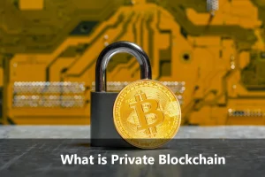 What is Private Blockchain