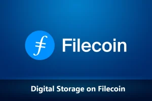 Digital Storage on Fielcoin