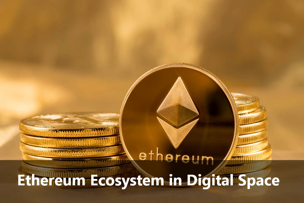 Ethereum Ecosystem in Digital Space