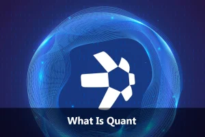 What Is Quant