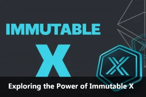 Immutable X