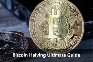 Bitcoin Halving Guide