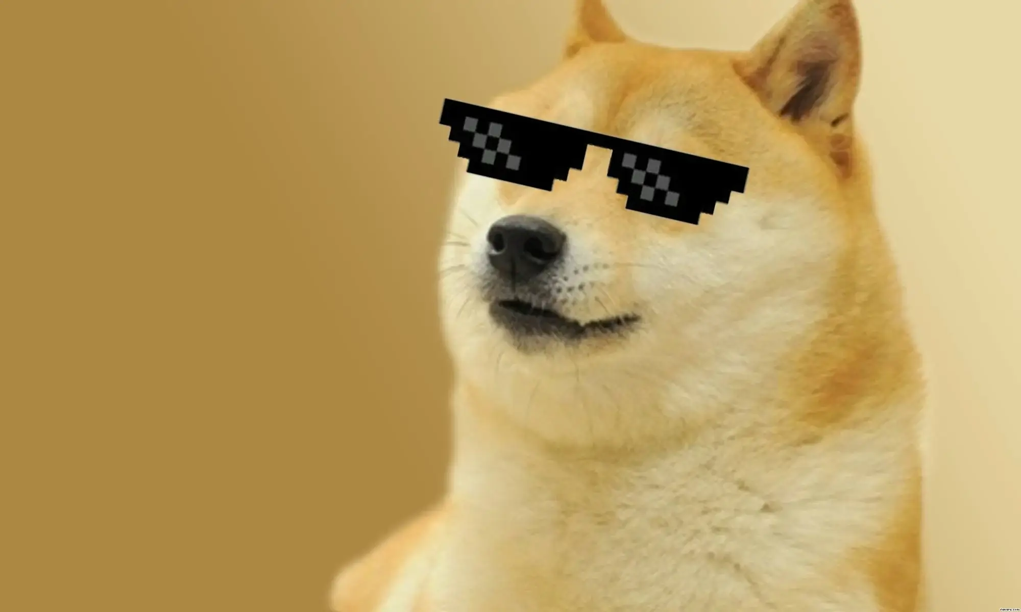 Doge Meme