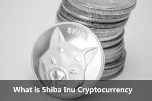 Shiba Inu Crypto