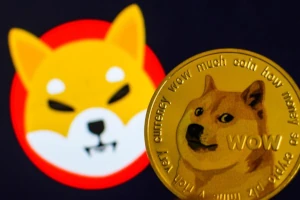 Shiba Inu vs Dogecoin