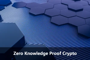 Zero Knowledge Proof Crypto