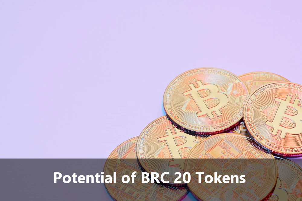 BRC-20 Tokens Exploration