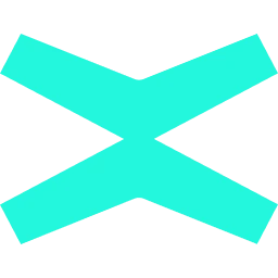 Multiversx Logo