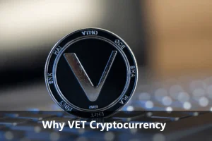 VET Crypto