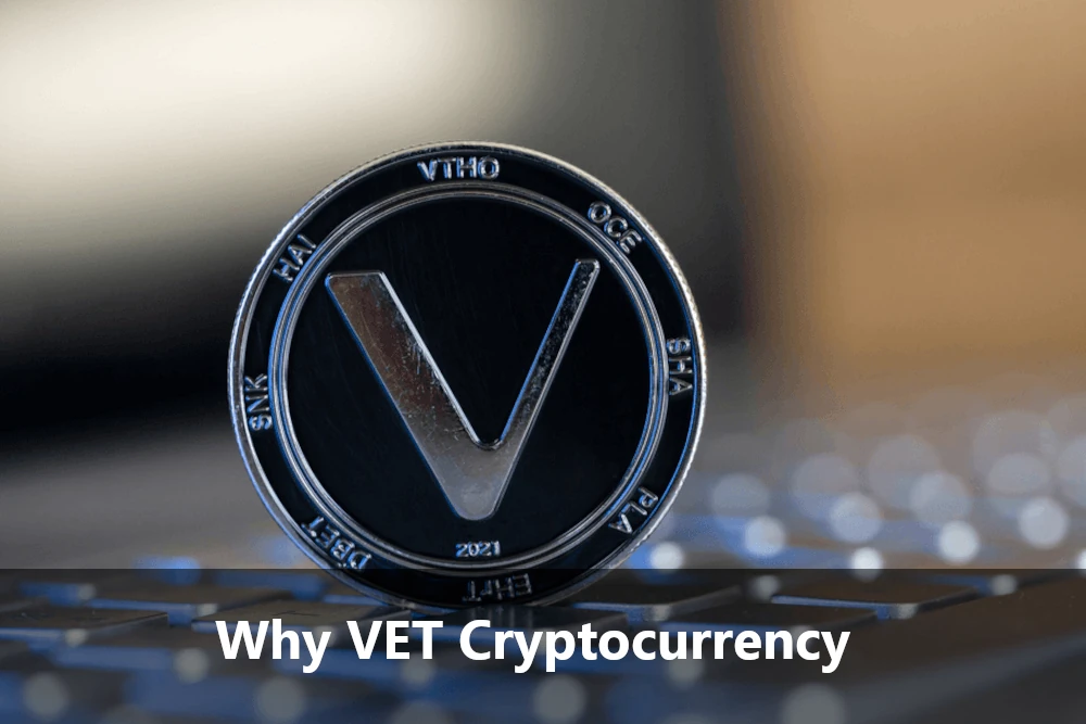 Why VET Cryptocurrency Investment