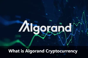 Algorand Cryptocurrency