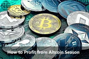 Altcoin Season Profit