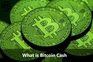 What is Bitcoin Cash