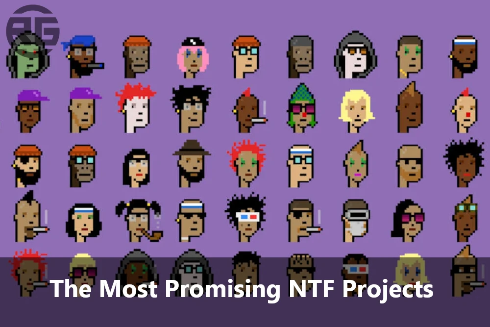 Discovering the Most Promising NFT Projects