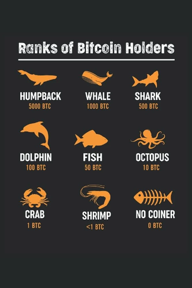 Bitcoin Hierarchy Explained