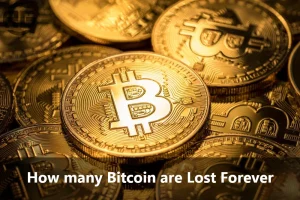 Lost Bitcoins