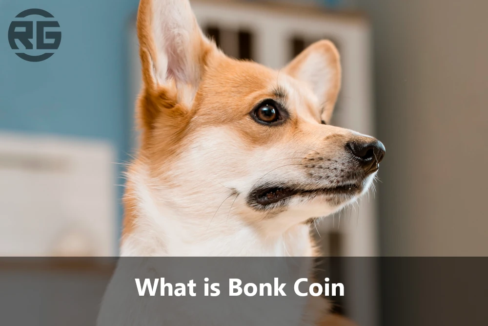 What is Bonk Coin